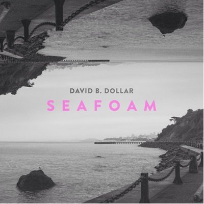 Profile Picture of David B. Dollar (@DaveyDollar) on Twitter