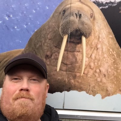 Profile Picture of Brian Gallimore (@walrus062) on Twitter