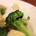 Ryan - Instagram Profile Picture of Ryan (@ryan_marcotte) on Instagram