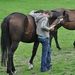 Profile Picture of Anne Lutener (@alutener) on Pinterest