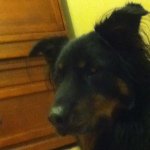 Profile Picture of andrew welton (@andrewwelton) on Instagram