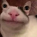 Profile Picture of Chris Jeske (@homechaos66) on Instagram