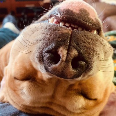 Profile Picture of Thomas Pender (@tompender) on Twitter