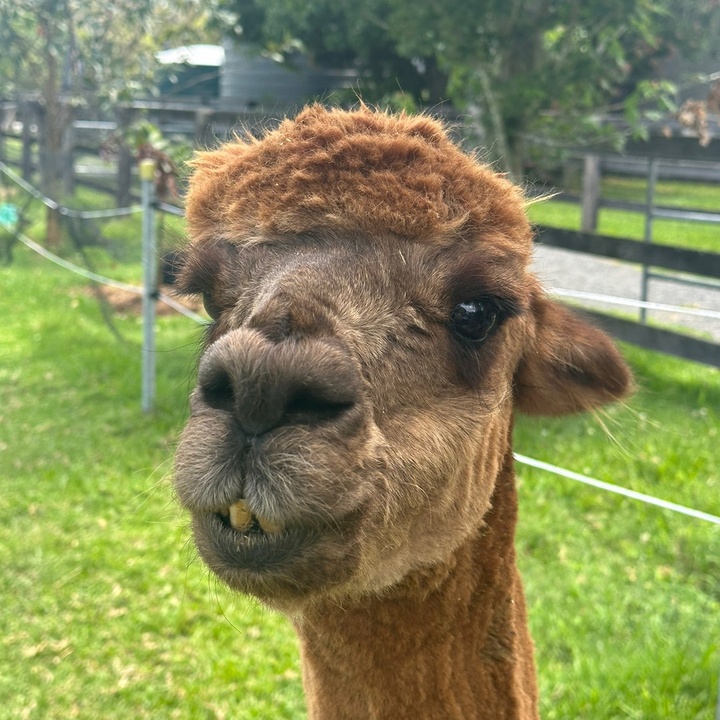 Profile Picture of John Otter (@@otterj) on Tiktok