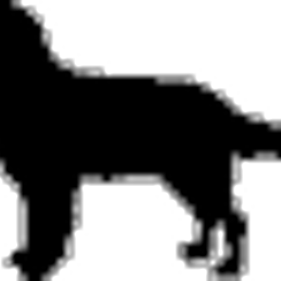 Profile Picture of Michael Iams  🇺🇸 (@RTRVR_) on Twitter