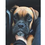 Profile Picture of Jeffrey & Shiva (@thesetwothingsinlife) on Instagram