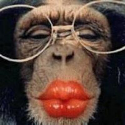 Profile Picture of Yes? No! (@deboraKO) on Twitter