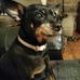 Profile Picture of Ginger Pullen (@ginger.pullen.71) on Facebook