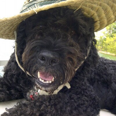 Profile Picture of Terrymarek (@terrymarek) on Twitter