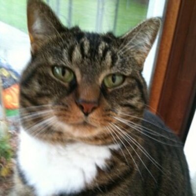 Profile Picture of Paula Fritz (@Paula_Fritz) on Twitter