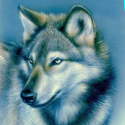 Daniel Beaudry - Twitter Profile Picture of Daniel Beaudry (@DanielBeaudry17) on Twitter