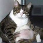 Scott Nordine - Instagram Profile Picture of Scott Nordine (@gusmanran1) on Instagram