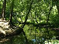 Profile Picture of Isaac Branch (St. Jones River tributary)on Wikipedia