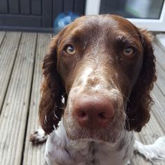 David Galvin - Tiktok Profile Picture of David Galvin (@galv07) on Tiktok