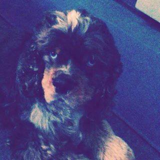 Profile Picture of Hunter Hixson (@hunter.hixson.129) on Facebook