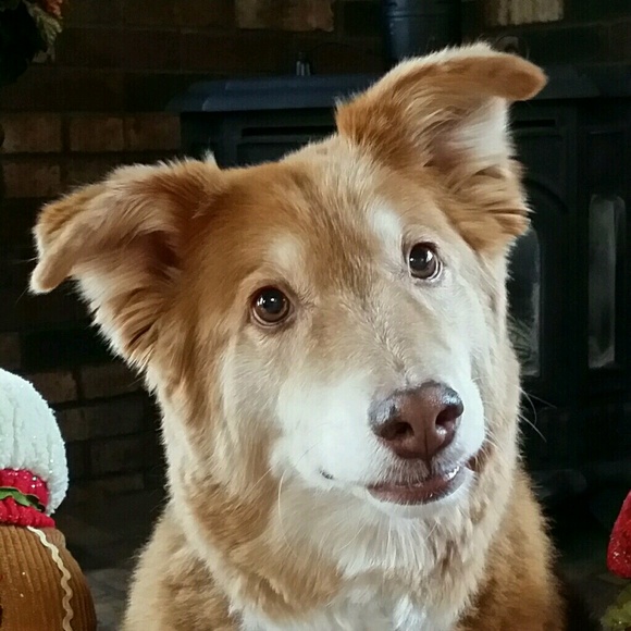 Profile Picture of Amelia Ball (@sparklychic) on Poshmark