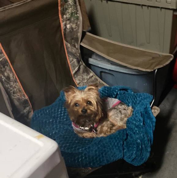 Profile Picture of Matt Kelley (@mattkelley737) on Poshmark