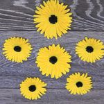 Alexandru Cumpănașu Președinte - Instagram Profile Picture of Alexandru Cumpănașu Președinte (@alexandrucumpanasupresedinte) on Instagram