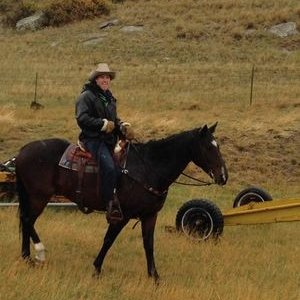 Profile Picture of Ben Conover (@ConoverBen) on Twitter