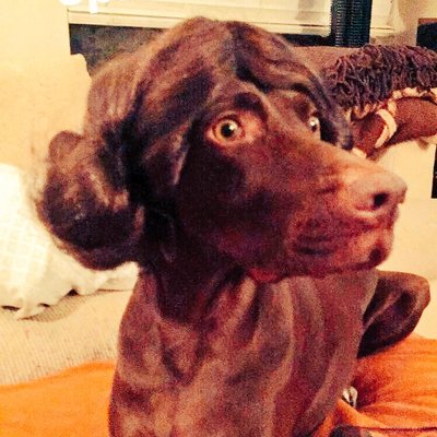 Profile Picture of Joe Pate (@yeswayjose_p8) on Twitter
