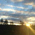 Profile Picture of Joshua Gonder (@gondorjosh93) on Instagram