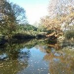 Profile Picture of Michael VanAlstine (@mike4000111) on Instagram