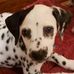 Profile Picture of Marc De Benedetto (@marc.debenedetto.1) on Facebook