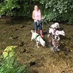 Profile Picture of Tracy Cuthbertson (@cuthbertsontracy) on Instagram