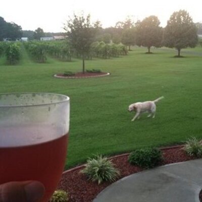 Tracy Horne - Twitter Profile Picture of Tracy Horne (@max4duck) on Twitter