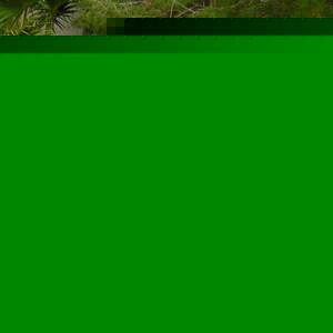 Profile Picture of Gideon Klein (@400056927) on Myspace