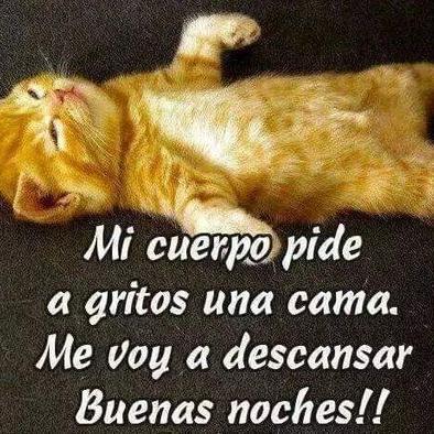 William vides - Twitter Profile Picture of William vides (@FallHell1) on Twitter