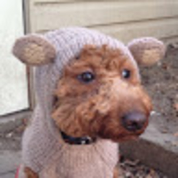 Profile Picture of Lauren Evask (@ldor44) on Poshmark