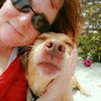 Profile Picture of Lisa Scavo (@lisa-scavo-4) on Quora