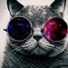 Profile Picture of Alina Abraham (@alina5472) on Pinterest