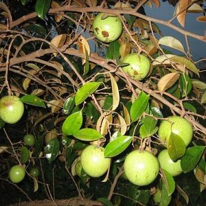 Profile Picture of Heo Con (@anh_nh0_vn) on Myspace