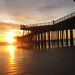 Profile Picture of Kim Manier (@kimmanier81) on Pinterest