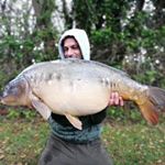 Profile Picture of Adam Lingo Caminarides (@adamcaminarides) on Instagram
