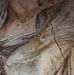 Profile Picture of Giannis Athena (@giannis.athena.50) on Facebook