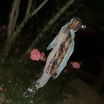 Profile Picture of maryam.nowbakht (@maryam.nowbakht) on Instagram