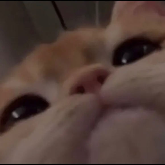 Profile Picture of Rozie Stadnyk (@rozie_stadnyk) on Poshmark