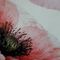 Profile Picture of Adele Unger (@Adele-Unger) on Facebook