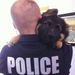 Profile Picture of Christopher Malkowski (@malkowskic) on Pinterest