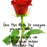 Profile Picture of Haley ann pilgrim (@hannpilgrim) on Instagram