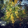 Profile Picture of Aditya  chauhan (@chetanchauhan17a) on Flickr
