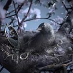 Profile Picture of jaclyn lloyd (@jaclynlloyd4) on Instagram