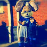 Profile Picture of Alex_Binksy (@binksy_footy) on Instagram