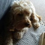 Profile Picture of Daniel (@danielpalmer2005) on Instagram