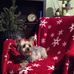 Profile Picture of Ivan Miller (@ivan.miller.58) on Facebook