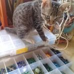 Profile Picture of Marites Carcer (@Marites-Carcer) on Facebook