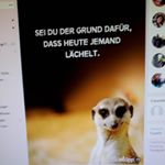 Profile Picture of Elisabeth Hofmann (@schatz2008) on Instagram